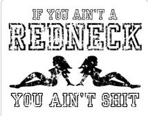 if you are not a redneck you ain't sh*t